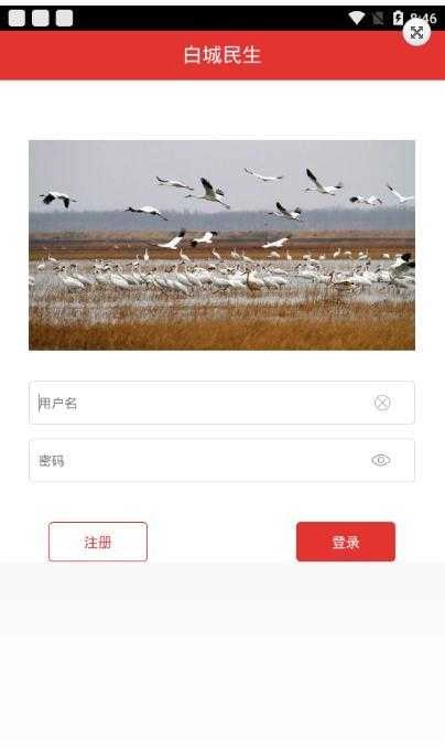 白城民生手机最新版图3