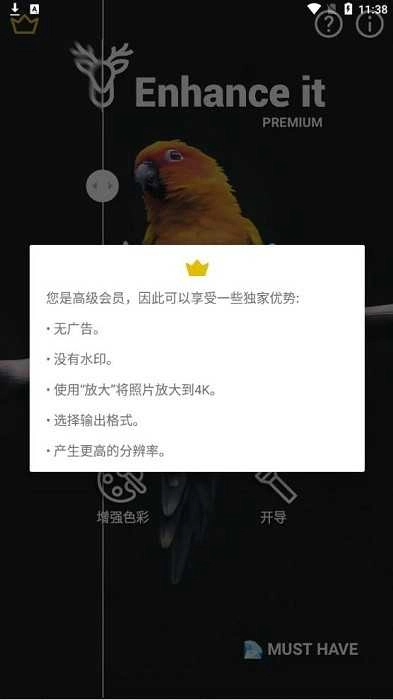 Enhance it解锁高级版图2