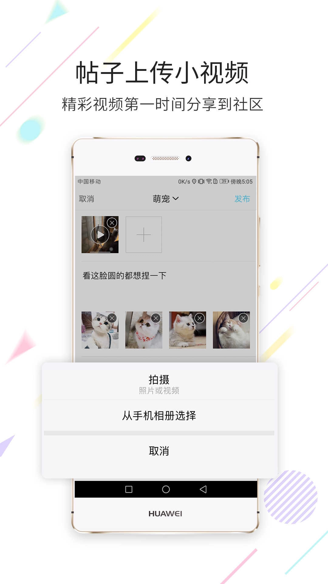 西蜀网原版图2