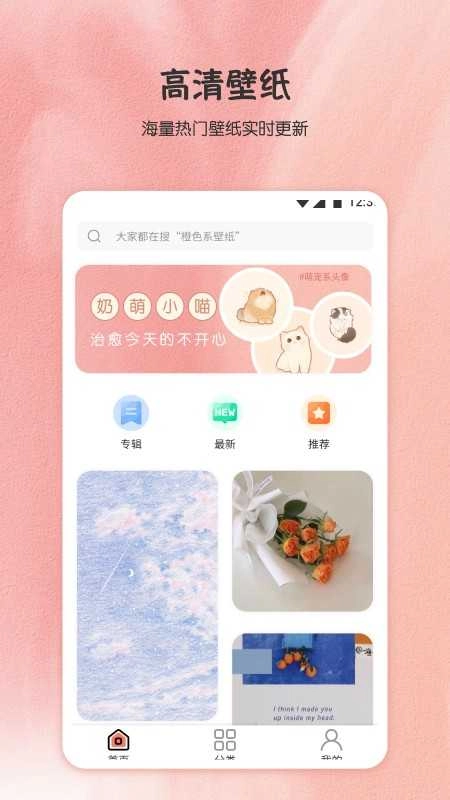小王壁纸官方版图3