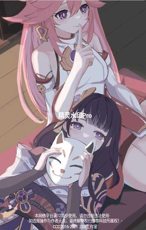 精灵水印Pro安卓版图3