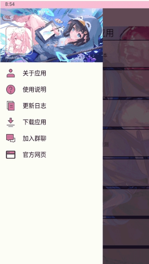 hookvip模块原版图3