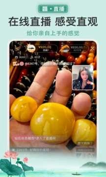 龘藏安卓官方版图4