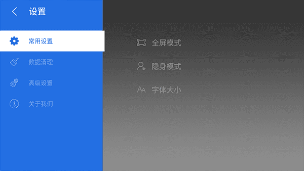 飞视电视浏览器官方版