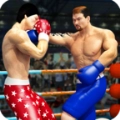 拳击明星冠军3D(TagBoxing)无广告版