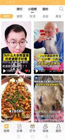 棕熊网安卓直装版图4