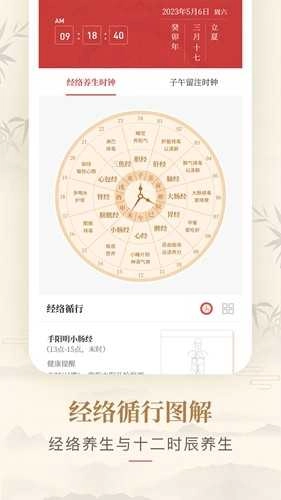 人体穴位图解可离线版图3