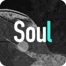 soul正版