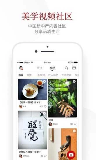 一条手机正版图3