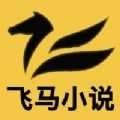 飛馬小說