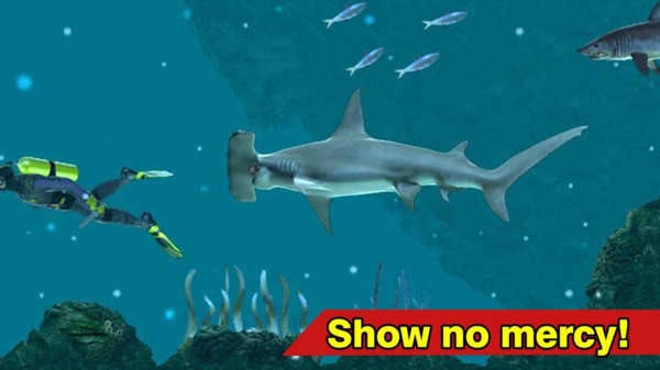 真实鲨鱼模拟器官方最新版图1