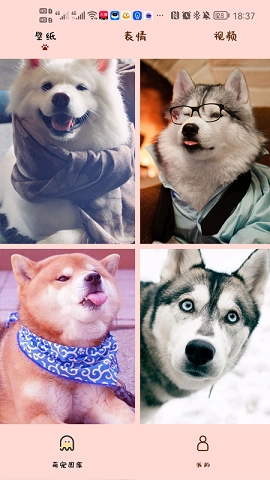 汉克狗安装下载