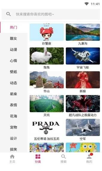图片搜搜纯净版图3