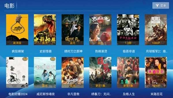 至臻影院电视版图4
