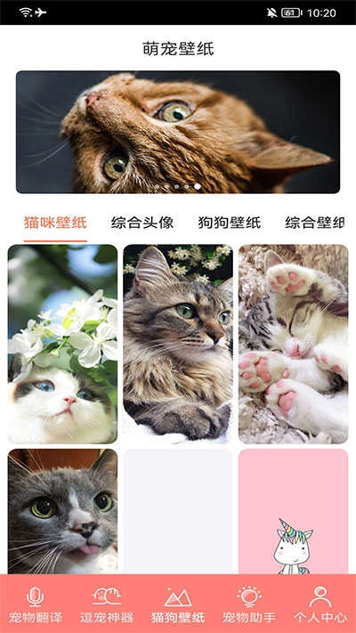 萌寵日常助手截圖1