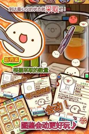 新种发现跳跳研究所手游直装版图3