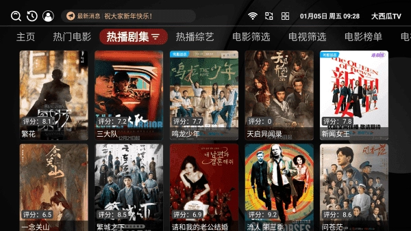 大西瓜TV原版图4