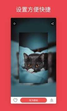 安卓动态壁纸旧版截图2