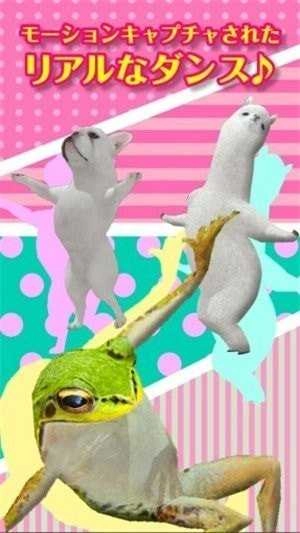 一个跳舞的羊驼(aDanza)最新免费版图3