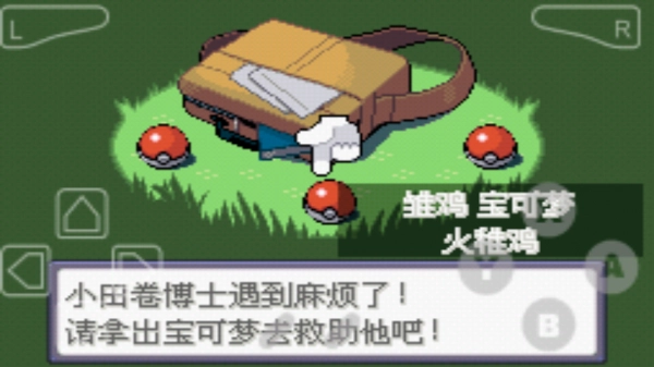 口袋妖怪绿宝石游戏官方版图3