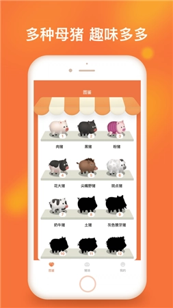 一起来养猪2026游戏完整版图1