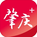 肇庆+手机最新版