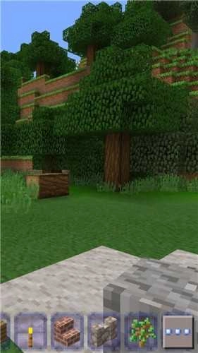 迷你像素方块游戏纯净最新版图1