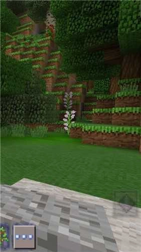 迷你像素方块游戏纯净最新版图2