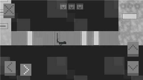 松鼠星球(PlanetSquirrel)手机免费版图1