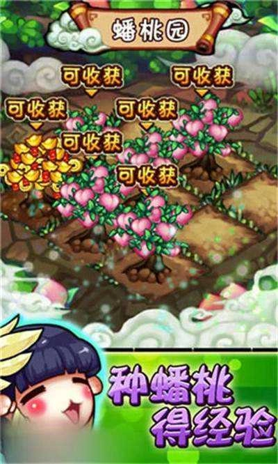 醉梦三国手游免费版图1