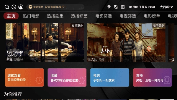 大西瓜TV原版图2