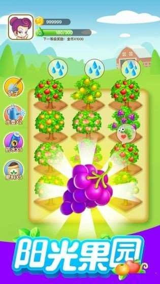 阳光果园