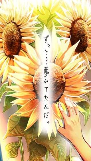 即便如此也要向往阳光(太陽に憧れて)正版图3