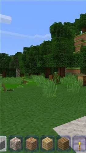 迷你像素方块游戏纯净最新版图3