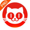 猫眼票房专业版V6.2.18