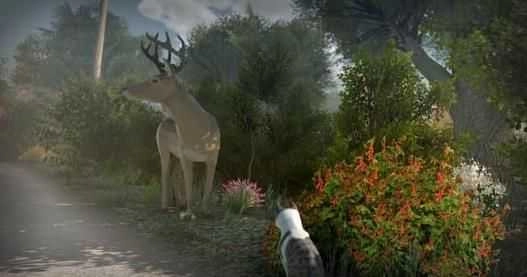 和平小岛安卓版图4