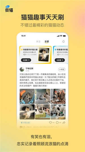 哈啰街猫免费版图2