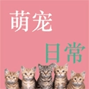 萌寵日常助手