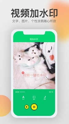 视频一键去水印中文版下载