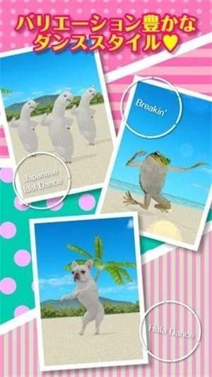 一个跳舞的羊驼(aDanza)最新免费版图1