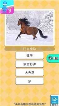 放学街头见手游直装版图2