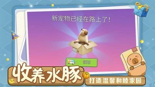 萌宠卡皮巴拉模拟最新免费版图1
