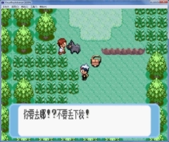 口袋妖怪蓝宝石手机免费版