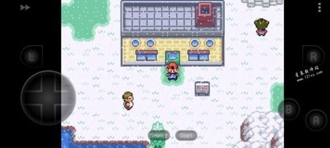 口袋妖怪织女星直装游戏版