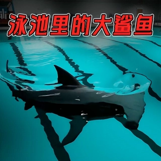 13号监狱异常监控官方版