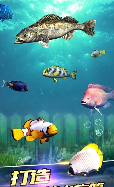 钓鱼梦想之旅官方正版