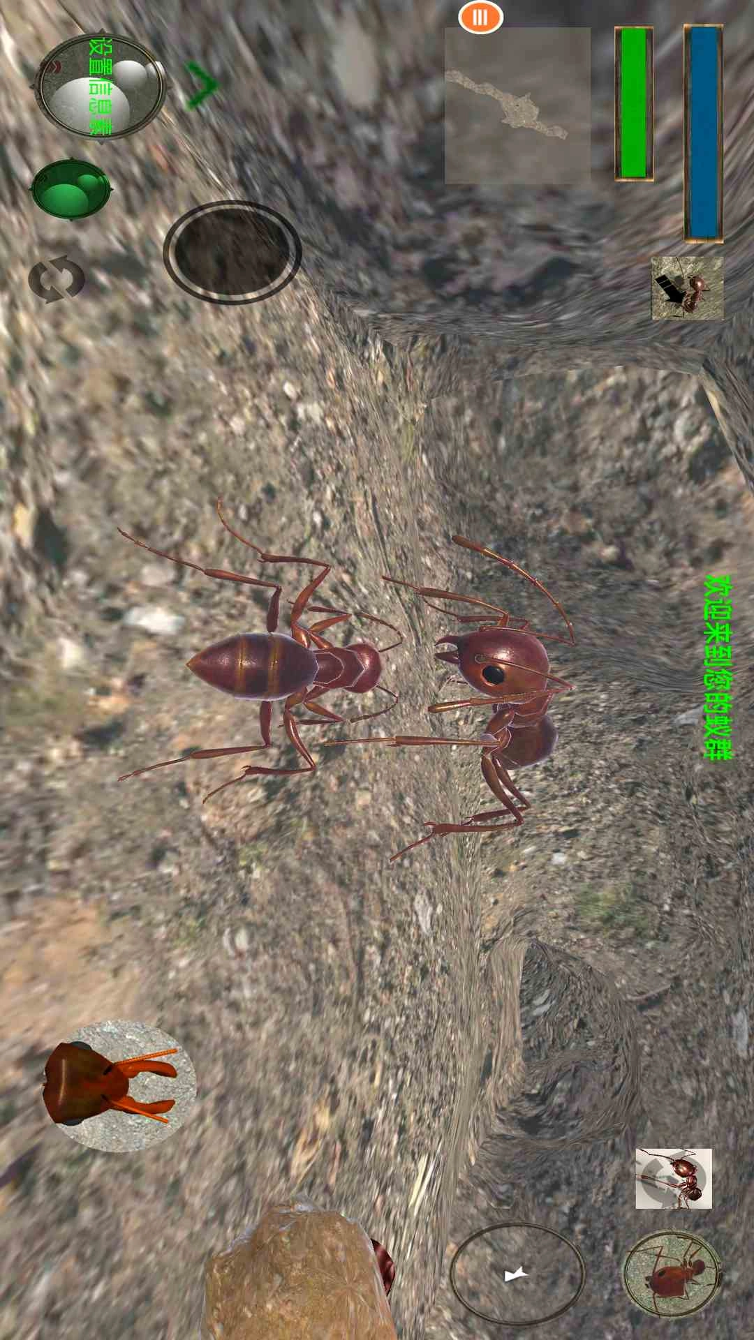 蚂蚁模拟器汉化版图3