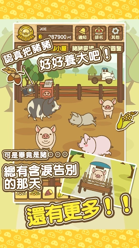 养猪场mix手机免费版