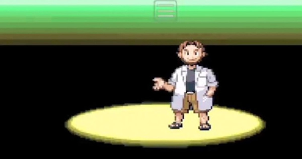 口袋妖怪增强绿宝石游戏无广告版图1