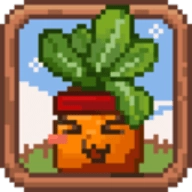 丰收轮回安卓版